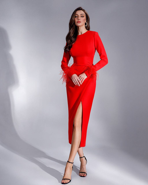 Rotes klassisches Midikleid mit Federn