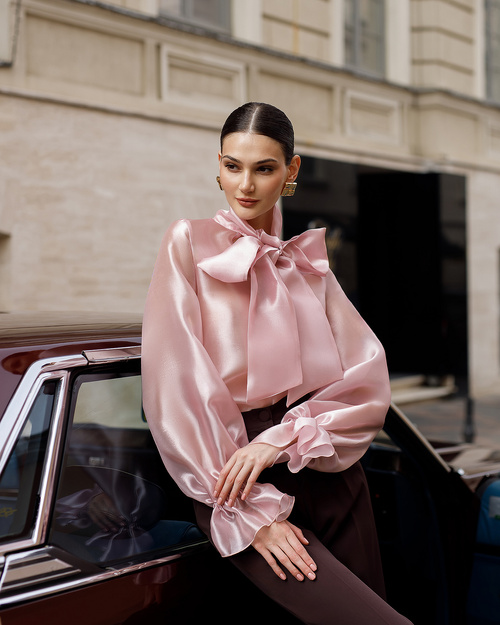 Elegante langärmelige Organza-Puderbluse für Damen